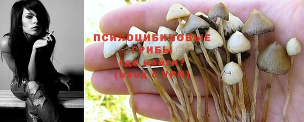 прущая мука Армянск