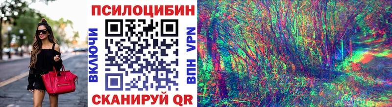 MEGA маркетплейс  купить  цена  маркетплейс как зайти  Галлюциногенные грибы мицелий  Городец 