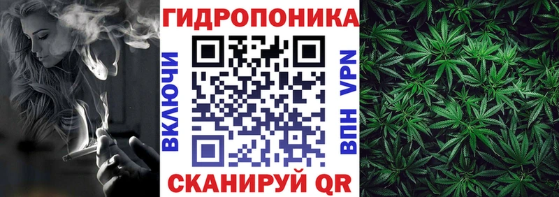 цены   Городец  Бошки марихуана марихуана 